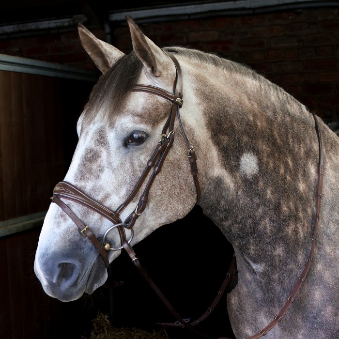 BR100 Venice Bridle with Reins - Available in Cob or Full - Black or Havana, Pick'n'Mix